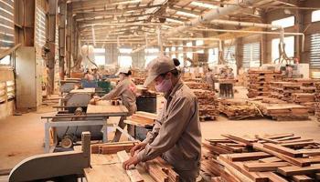 Công ty xuất khẩu gỗ hàng đầu Việt Nam