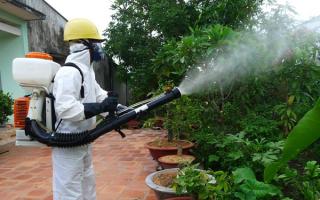 Công ty diệt côn trùng tại TPHCM: uy tín, chuyên nghiệp