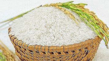 Công ty kinh doanh gạo tại Hà Nội uy tín và chất lượng nhất