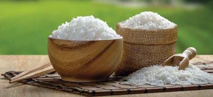 Đại lý bán gạo chất lượng, giá rẻ nhất tại tỉnh Thanh Hóa