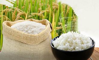 đại lý bán gạo giá rẻ và uy tín nhất ở Huế