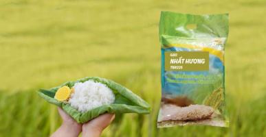 Đại lý bán gạo chất lượng và giá rẻ tại Nghệ An