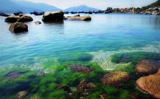 Đảo tôm hùm đáng đi nhất ở Việt Nam