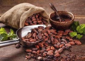 Địa chỉ bán bột cacao nguyên chất tốt nhất tỉnh Thanh Hóa