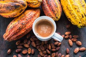 Địa chỉ bán bột cacao nguyên chất tốt nhất tỉnh Bình Định