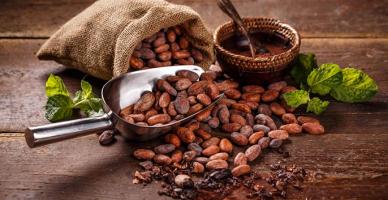 Địa chỉ bán bột cacao nguyên chất tốt nhất tỉnh Quảng Ngãi