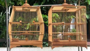 Địa chỉ bán lồng chim đẹp nhất Đà Nẵng