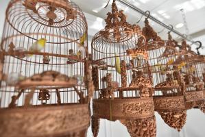 Địa chỉ bán lồng chim đẹp nhất Thanh Hoá