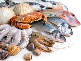 Địa chỉ cung cấp hải sản tươi sống chất lượng nhất Hải Phòng