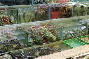 Địa chỉ cung cấp hải sản tươi sống chất lượng nhất Nghệ An