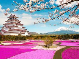 Địa điểm du lịch giá rẻ tại Nhật Bản