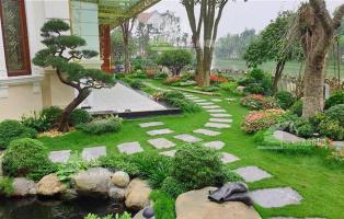 Dịch vụ thiết kế, thi công cảnh quan sân vườn chuyên nghiệp nhất tại Đà Nẵng