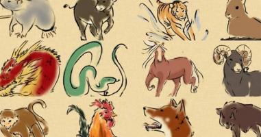 đoạn văn về con giáp mà em thích hay nhất