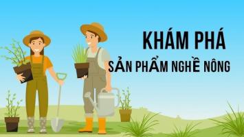 Giáo án khám phá nghề nông cho trẻ mầm non hay nhất
