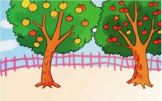 Giáo án thơ Hoa kết trái - lớp 4, 5 tuổi hay nhất