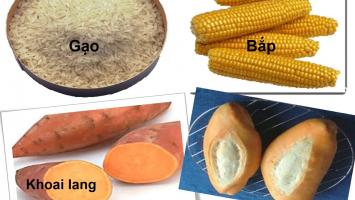 Giáo án trò chuyện về 4 nhóm thực phẩm cho trẻ mầm non hay nhất