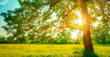 Giáo án trò chuyện về mùa hè chi tiết nhất