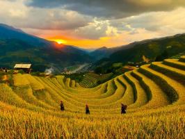 Giáo án trò chuyện về nghề sản xuất cho trẻ mầm non hay nhất