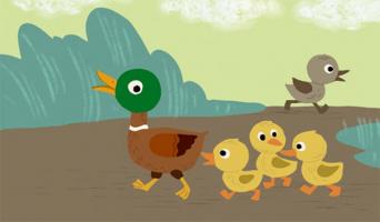 Giáo án truyện Chú vịt xám cho trẻ mầm non hay nhất