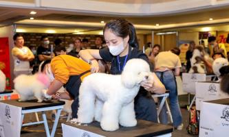 Địa chỉ đào tạo cắt tỉa lông thú cưng chuyên nghiệp nhất tỉnh Lâm Đồng