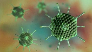 Lưu ý quan trọng nhất về bệnh do Adenovirus