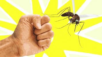 Miếng dán đuổi muỗi hiệu quả, an toàn nhất cho cả gia đình