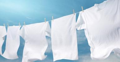 Cách tẩy trắng quần áo bị ố mà không cần hóa chất