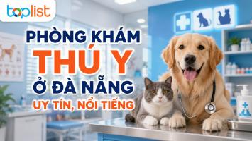 Phòng khám thú y ở Đà Nẵng uy tín, nổi tiếng