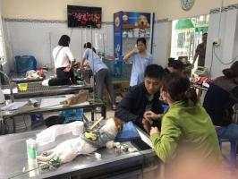 Phòng khám thú y uy tín nhất tại Bình Thuận