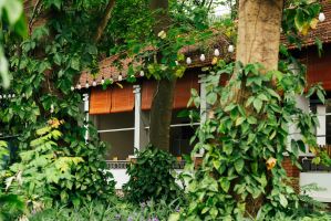 Quán nhậu sân vườn được yêu thích nhất Hà Nội