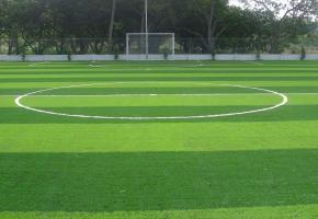 Sân bóng nhân tạo chất lượng nhất Phú Yên