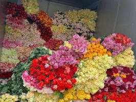Shop hoa cắt cành đẹp nhất tại Quận Gò Vấp, TP HCM