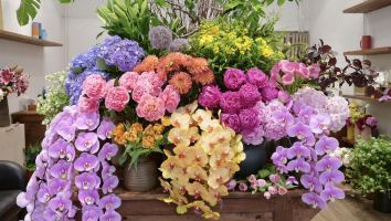 Shop Hoa Tươi Nổi Tiếng Nhất Hà Nội Được Yêu Thích Hiện Nay