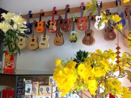 Cửa hàng nhạc cụ chất lượng tại Đà Nẵng