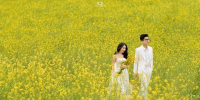 Studio chụp ảnh cưới ngoại cảnh đẹp nhất Quận 3, TP. Hồ Chí Minh