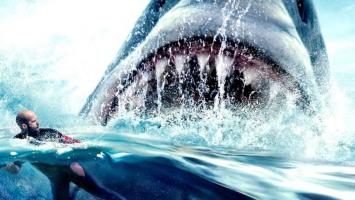 Top 10 Bộ phim về cá mập siêu gay cấn mà bạn không nên bỏ lỡ
