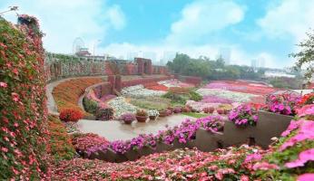 Thung lũng hoa đẹp nhất tại Việt Nam