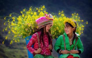 Top 8 Trải nghiệm thú vị du lịch tỉnh Hà Giang