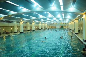 Trung tâm dạy bơi tốt nhất tỉnh Nghệ An