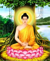 Vị  Phật, Bồ Tát, Thánh Tăng quen thuộc nhất trong Phật giáo