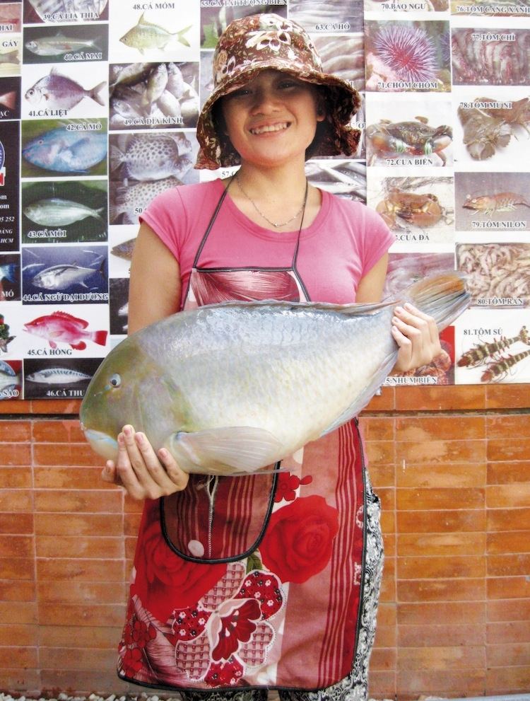 Top 10 địa chỉ mua hải sản tươi sống uy tín, chất lượng tại thành phố Hồ Chí Minh
