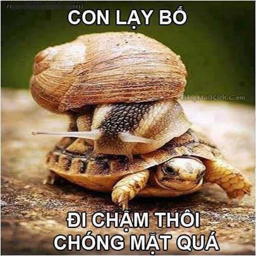 Cả hai thánh cùng chậm