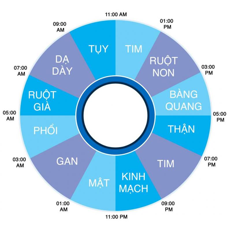 Khung giờ thải độc cho cơ thể