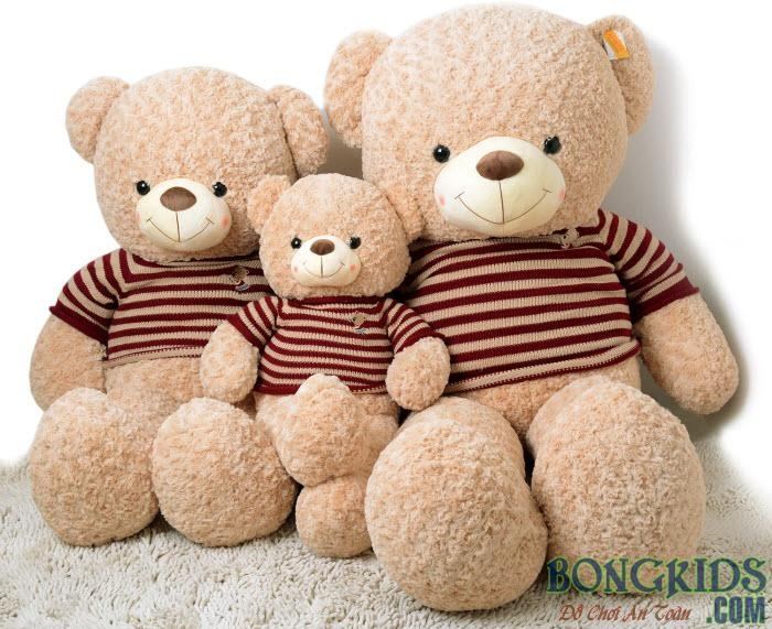 gấu teddy