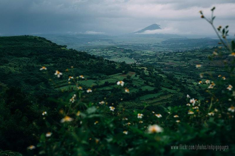 Khung cảnh sáng sớm ở cao nguyên