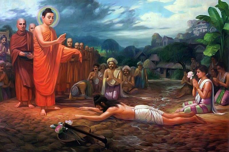 Đức Phật dành 49 đi thuyết pháp, khai hoá cho chúng sinh hiểu và tìm đến pháp của Ngài mong cầu sự giải thoát và giác ngộ