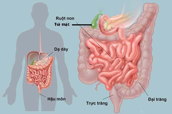 5-7 giờ sáng: Thời gian giải độc của ruột già