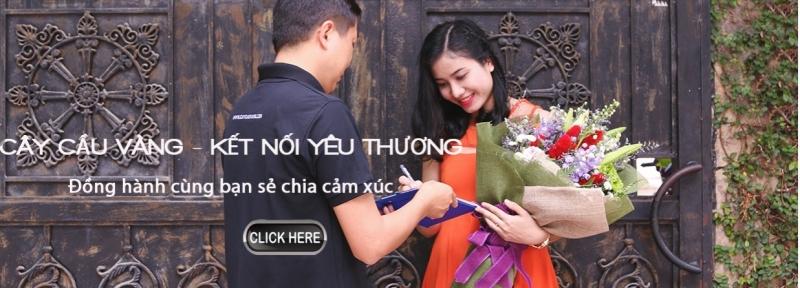 ĐIỆN HOA CÂY CẦU VÀNG