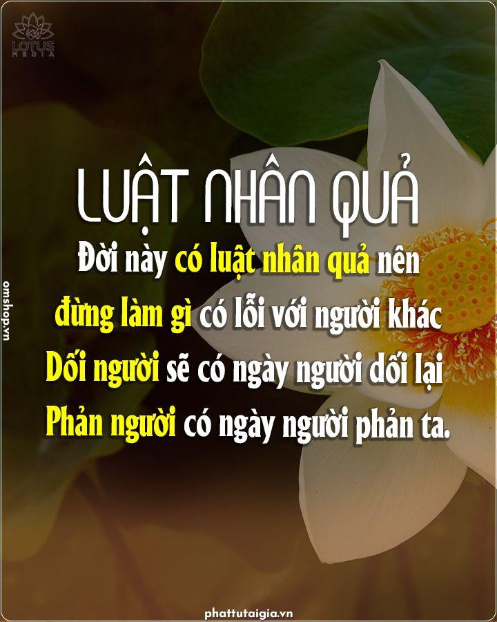 Luật nhân quả