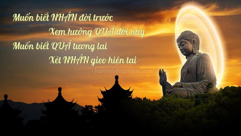 Luật nhân quả